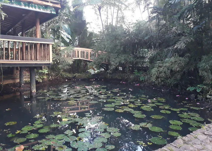 Rainforest Eco Lodge